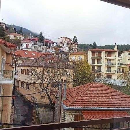Urban Mountain House Apartment Karpenisi Exterior photo
